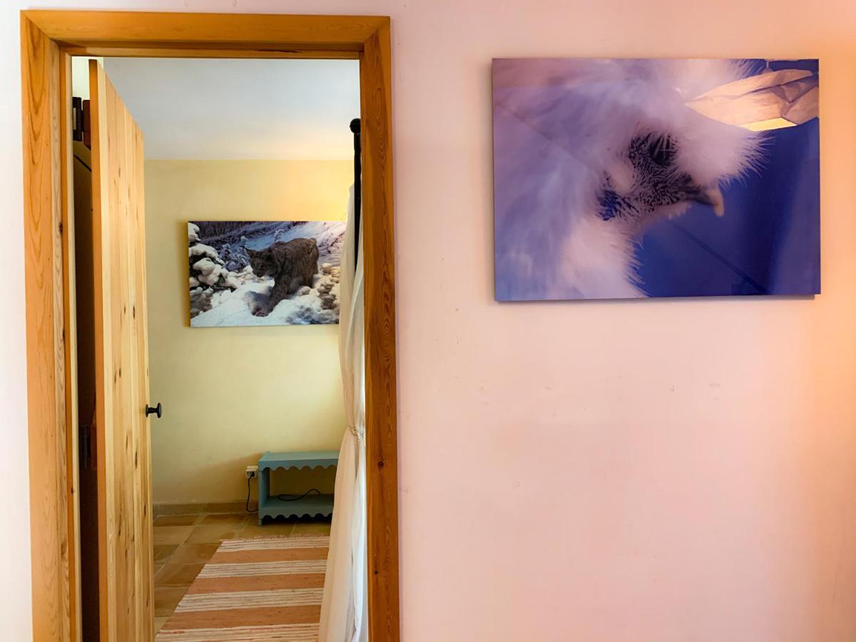 Holiday Home Les Plachettes Flobecq Εξωτερικό φωτογραφία