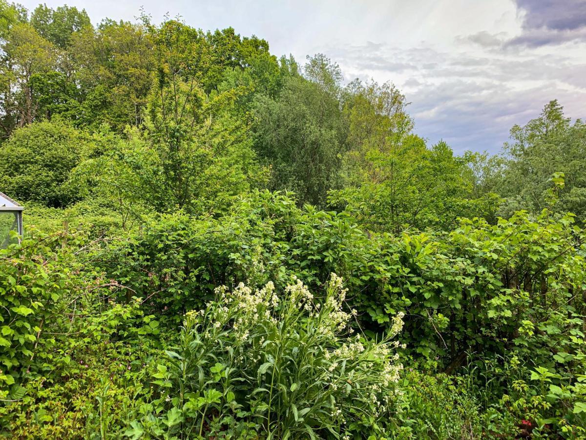 Holiday Home Les Plachettes Flobecq Εξωτερικό φωτογραφία